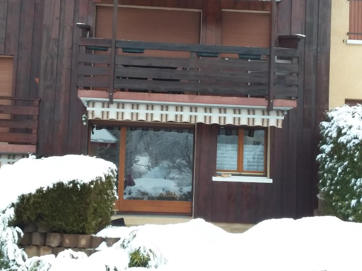Charmant Duplex De 45M², 2 Chambres, Jardin, Garage, Villard-De-Lans - Fr-1-515-51 Zewnętrze zdjęcie